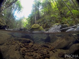 GoPro Dome Port для HERO 5/6/7 - купол для съемок в воде 6" (15,24 см)