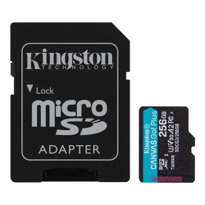 Kingston карта-памяти для GoPro HERO 5/6/7/9/10/11 на 256Гб