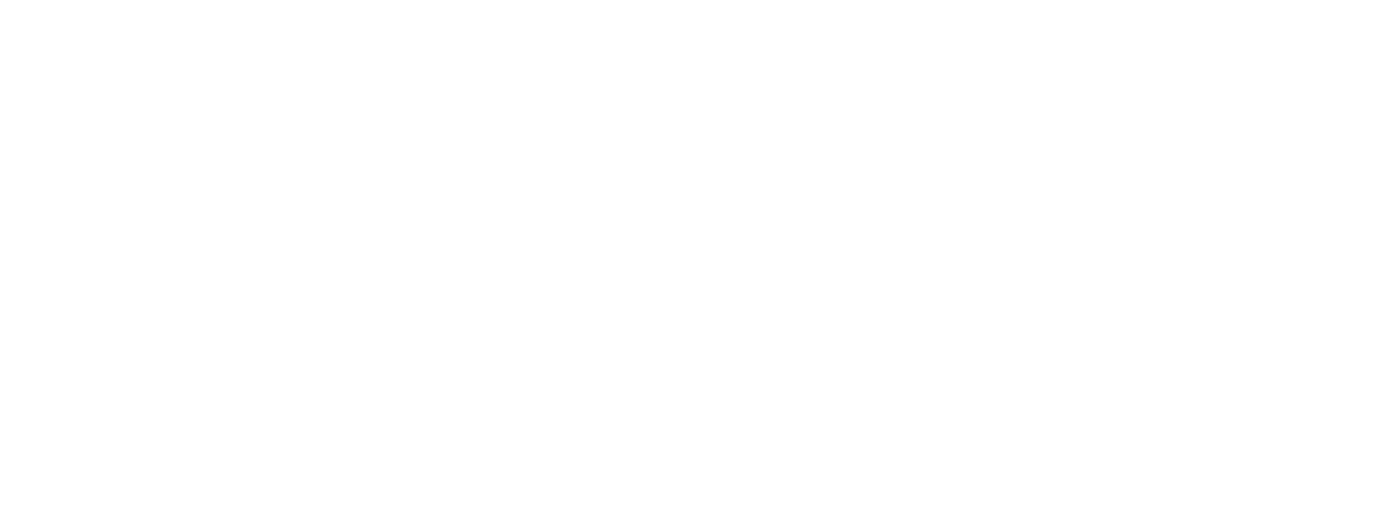electrotochka